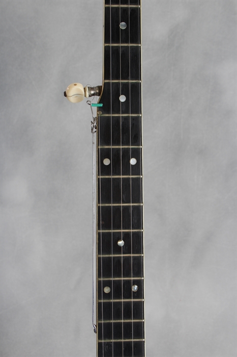 vega 200 acoustic guitar serial number
