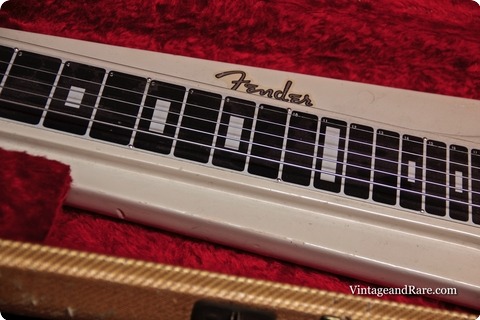 Fender Champ Lapsteel