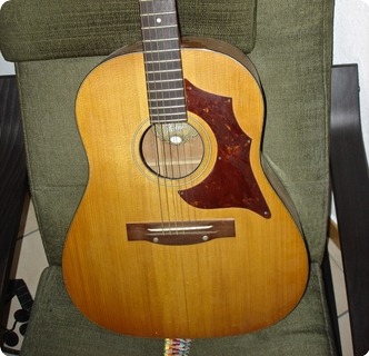 1968 hofner acoustic guitar