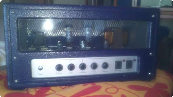 Boutique Head 45 W (fender Bassman Clone) 2005