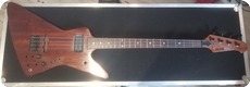 Chris Eccleshall Guitars-Explorer