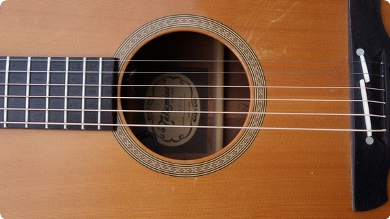 Takamine Np 15  1989 Natural