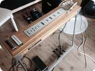 AWH Custom Viking Pedal Steel 1981