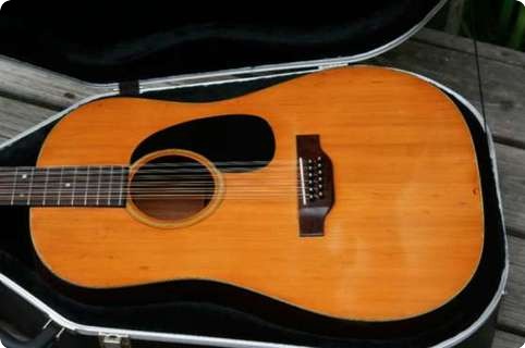 Martin D 12 20 1969