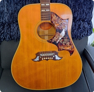 Gibson Dove 1963 Natural