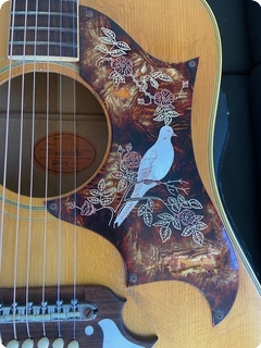 Gibson Dove 1963 Natural