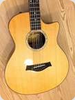 Taylor Baritone 8 String GT8