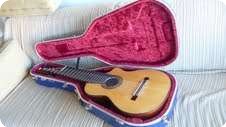 Roger Stromberg 11 String Altoguitar 2007