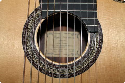 Roger Stromberg 11 String Altoguitar 2007