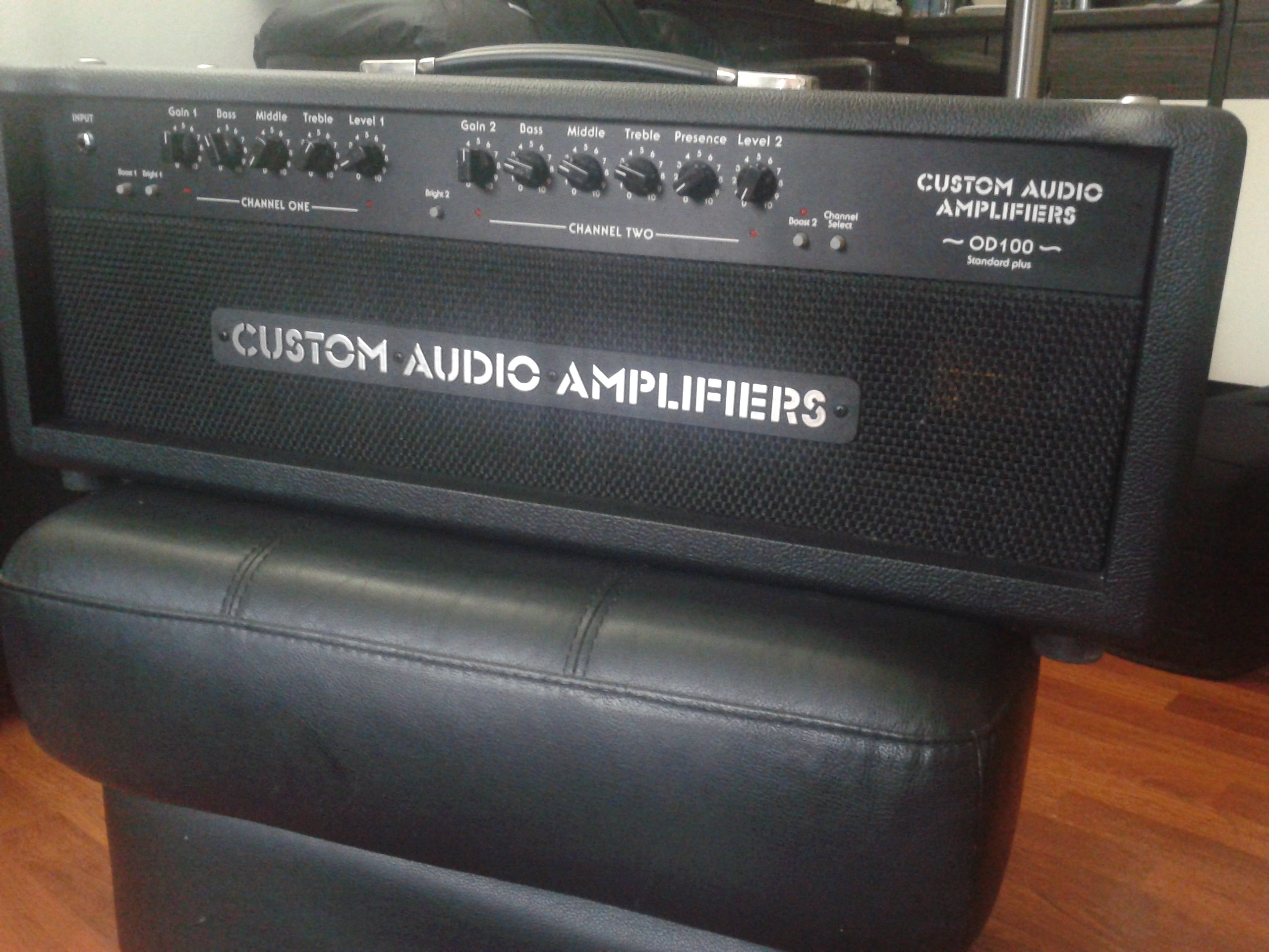 Custom Audio Amplifiers OD 100 Standard+ 2010's Amp