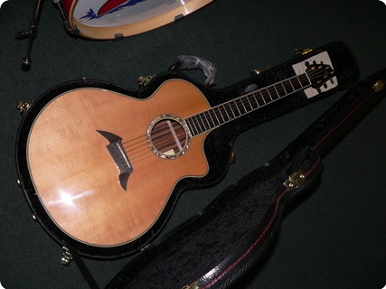 Breedlove Master Class J 25 Custom Striped Ebony 2008 Natural