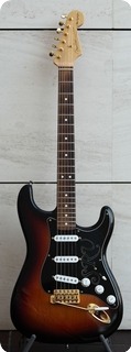 Fender Stratocaster / Srv 2002 Sunburst