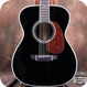 Aria Dreadnought AF 60BK 2005