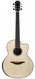 Lowden Pierre Bensusan Signature Madagascar Rosewood Adirondack