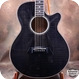 Takamine PT-118 1984