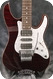 Schecter 2010s SD II 24 AS 2010