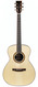 Lakewood M45 Custom Ziricote European Spruce