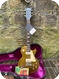Gibson-Les Paul-1969-Goldtop