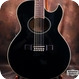 Washburn E-20 MB12 1995