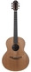 Lowden F23 Walnut Cedar