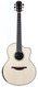 Lowden Pierre Bensusan Signature Madagascar Rosewood Adirondack