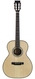 BSG OM32F Madagascar Rosewood Spruce B-stock