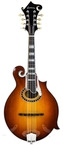 Eastman-MD614-GB-E Goldburst