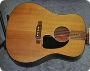 Gibson WM 10 1998 Natural