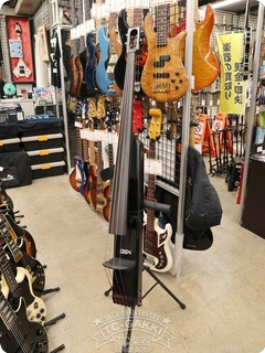 Bsx T 4 Upright Bass 2000