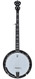 Deering Sierra 5 String Banjo