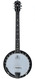 Deering -  Boston 6-String Banjo