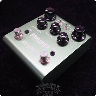 Strymon Brigadier (dbucket Delay) 2010