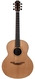 Lowden F25 Cedar Indian Rosewood 2020