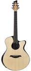 Waanders Grand Fingerstyle Brazilian Rosewood Italian Spruce Recent