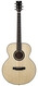 BSG GJ16F Baritone Flamed Maple Alpine Spruce