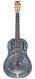 National Raw Series 12 Fret Steel