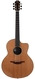 Lowden Richard Thompson F35RT Ziricote Cedar 2022