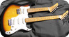 Robin Guitars RDN 1982 Two Tone Sunburst