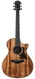 TaylorTaylor Get One Gift One Taylor 722ce Koa