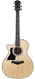 Taylor;Taylor Get One Gift One Taylor 314ce V-Class Lefty