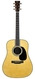 Martin D42 Reimagined