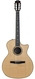 Taylor;Taylor Get One Gift One Taylor 814ce-N Nylon Crossover