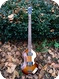 Hofner 5001 Violin Bass 1966 Sunburst