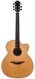 Lowden O50C Indian Rosewood Adirondack 2012