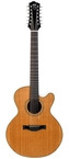 Santa Cruz-F12-27 12 String-1981