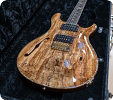 Prs Guitars-Custom 24 Semi Hollow Private Stock