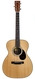 Eastman E20OM TC MR Madagascar Adirondack 2022