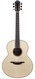 Lowden F50 Madagascar Rosewood Alpine Spruce