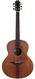 Lowden F35 Tasmanian Blackwood Sinker Redwood #27012