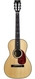 BSG P27F Rosewood Spruce 2021